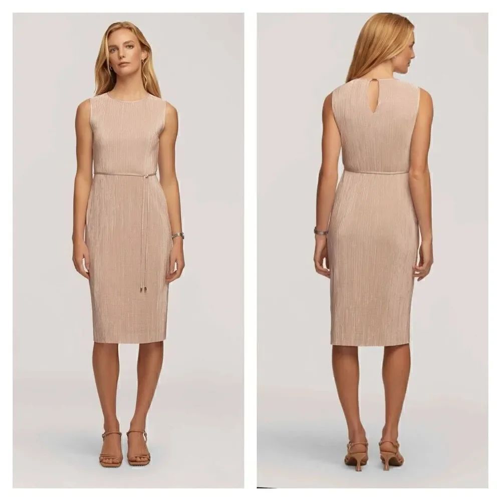 ANNE KLEIN NWT BALLET Pleated Dress With Tie Waist SZ 4